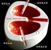 ���˽ڴ�����Ʒ